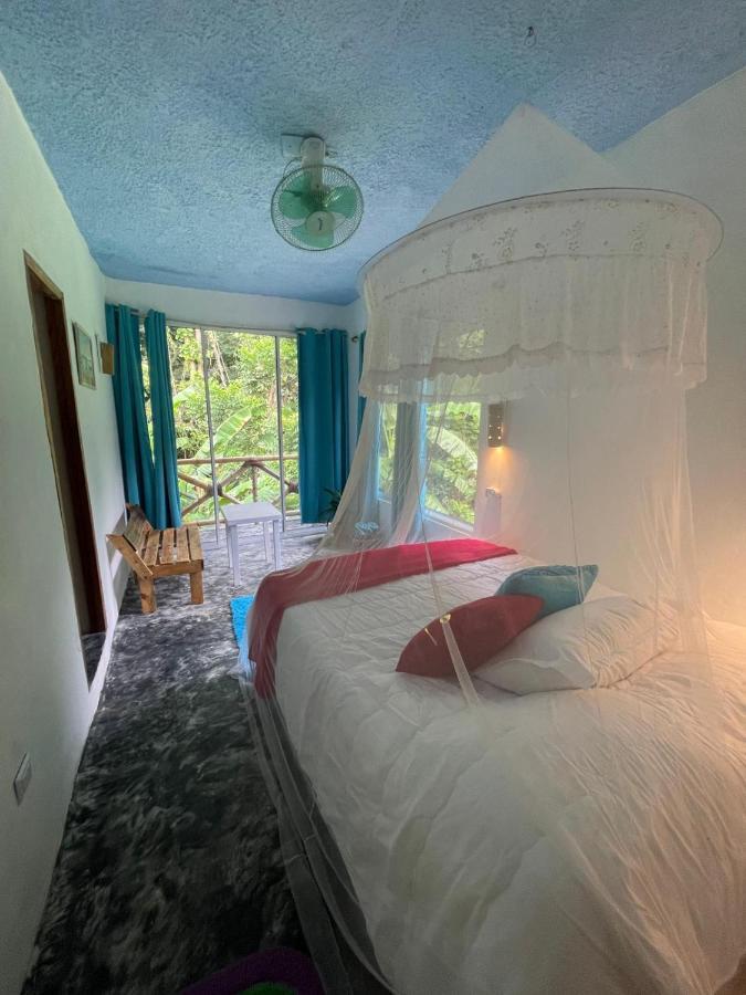 Salvaje Rooms&Restaurant Samana Luaran gambar